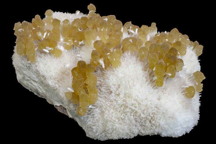 Yellow Calcite On Scolecite (Zeolite) Sprays - Maharashtra, India #168718